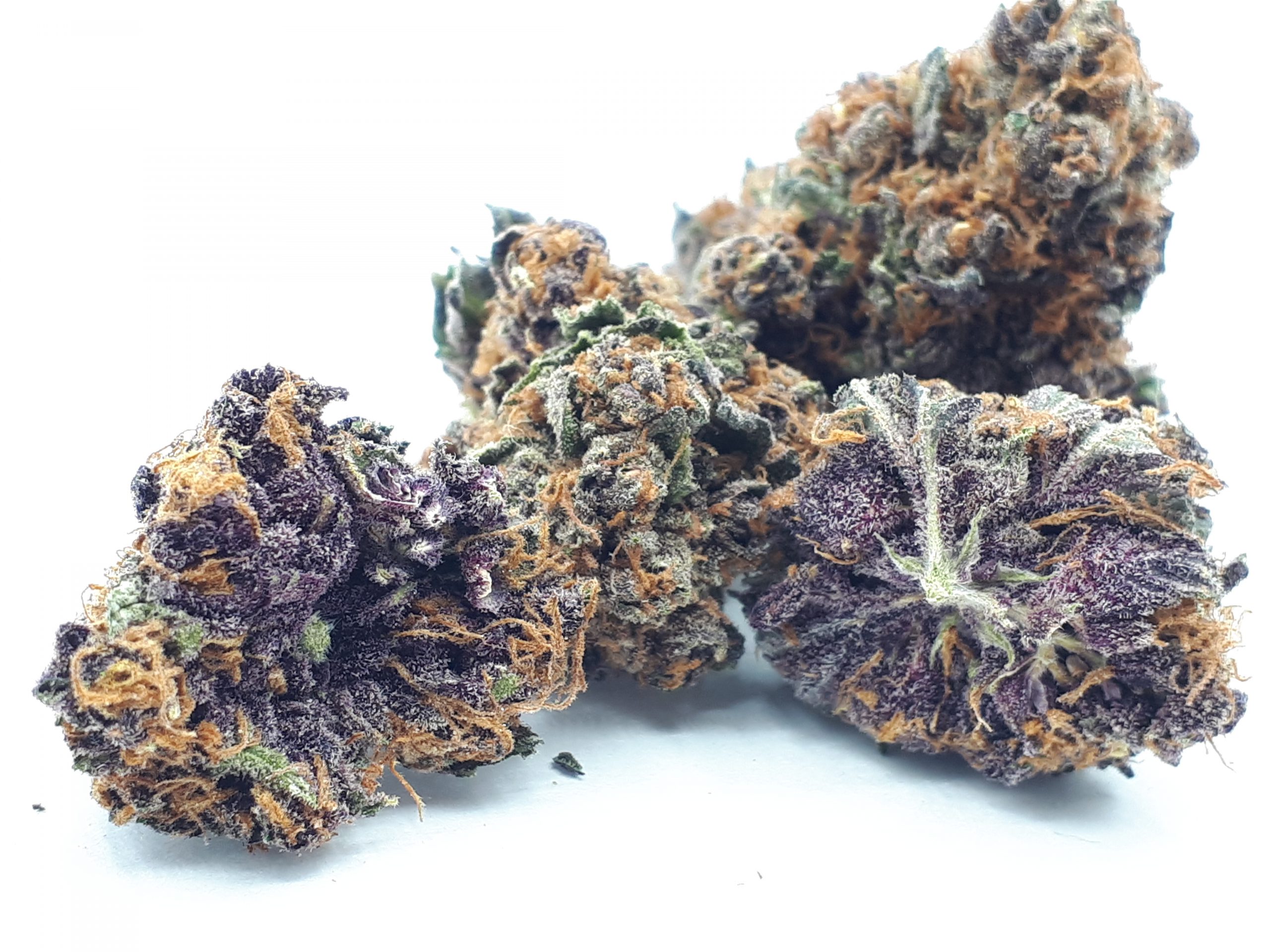 Purple Gorilla Glue - Afbeelding 4