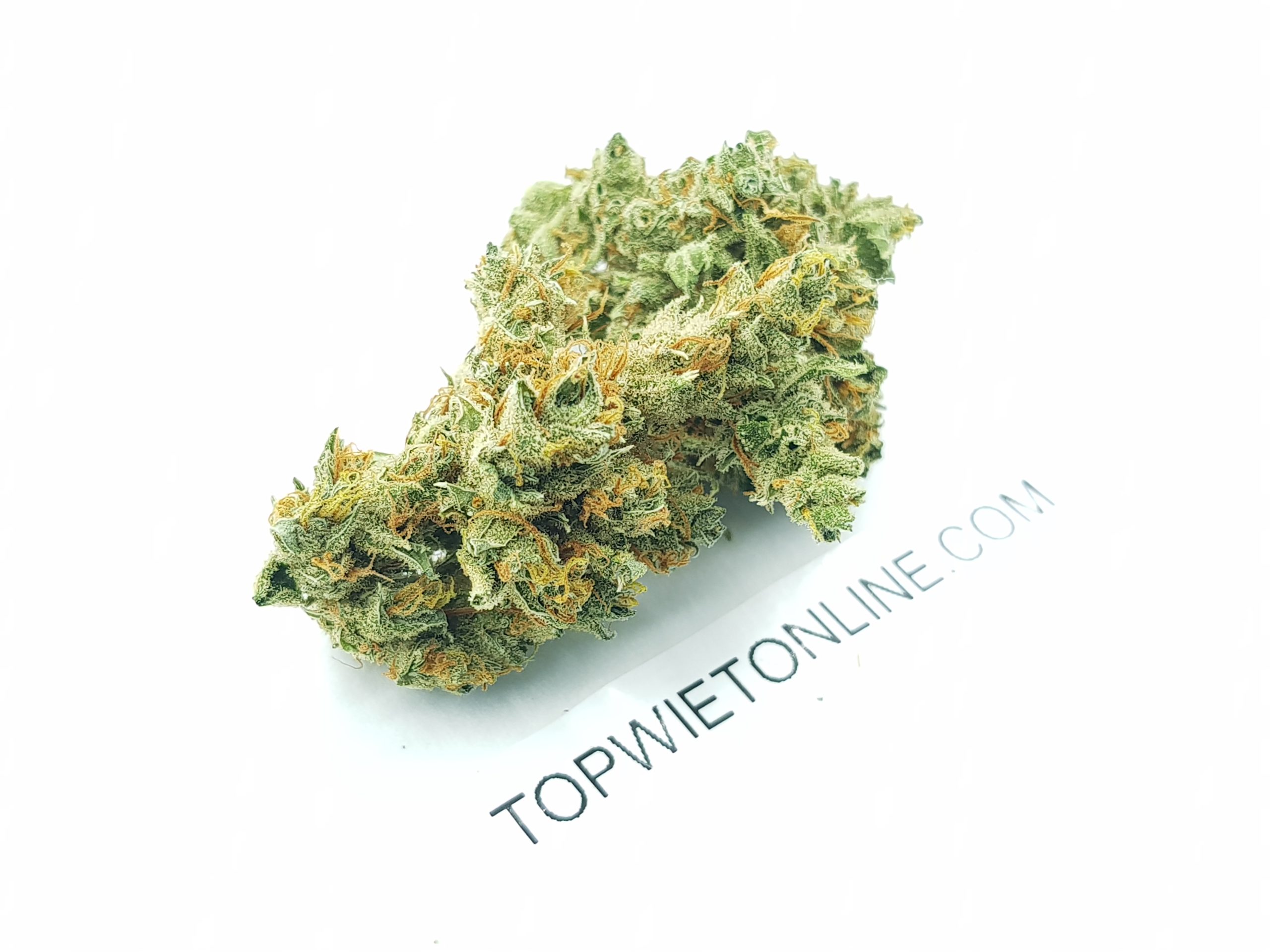 Super Silver Haze - Afbeelding 2