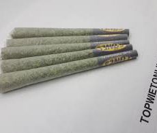 Tangerine G13 PURE HAZE JOINT 10 STUKS