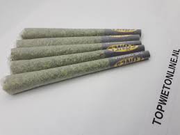 Tangerine G13 PURE HAZE JOINT 10 STUKS