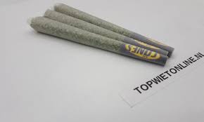Tangerine G13 PURE HAZE JOINT 3 STUKS