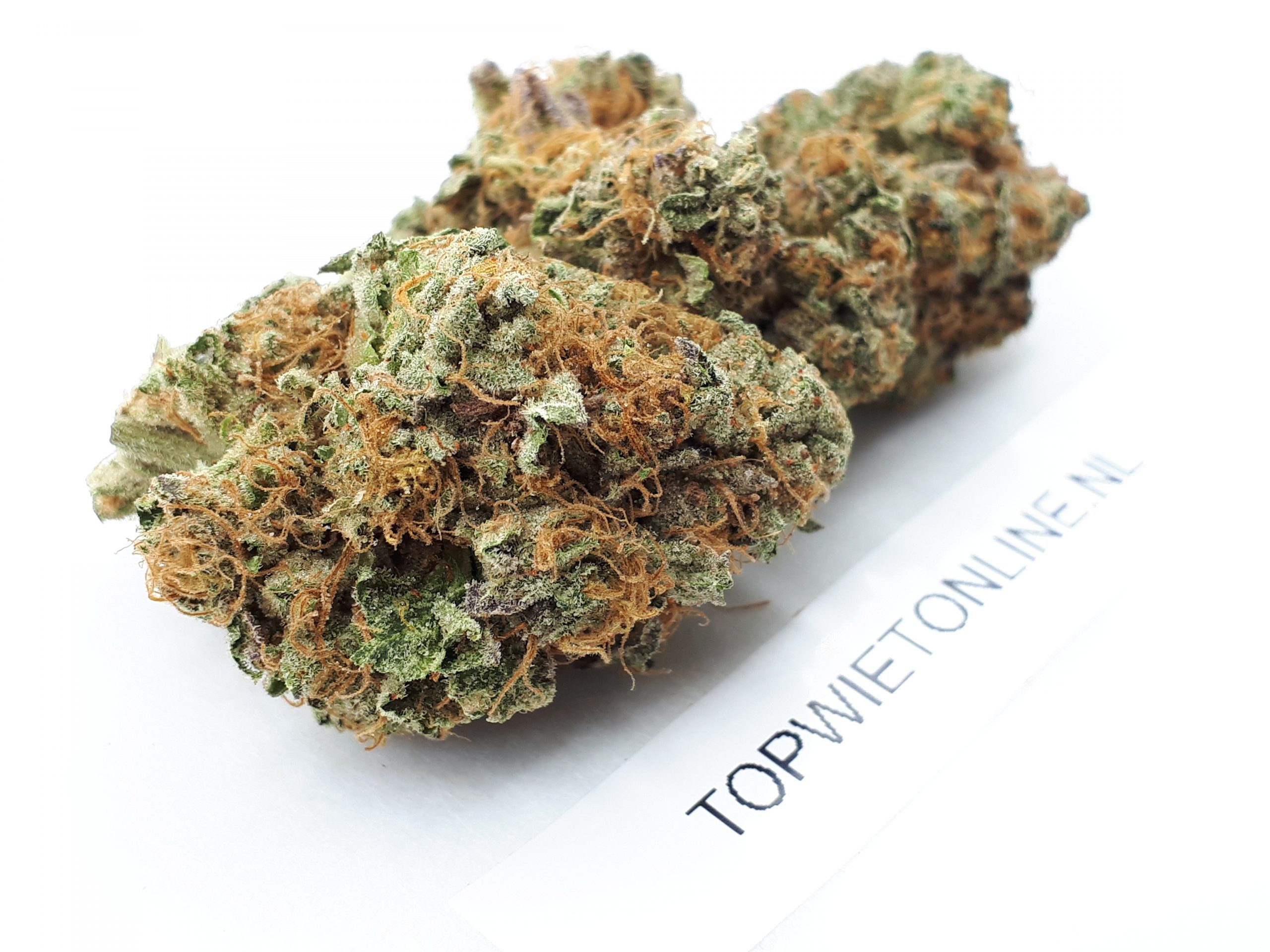 Chocolato - Afbeelding 3