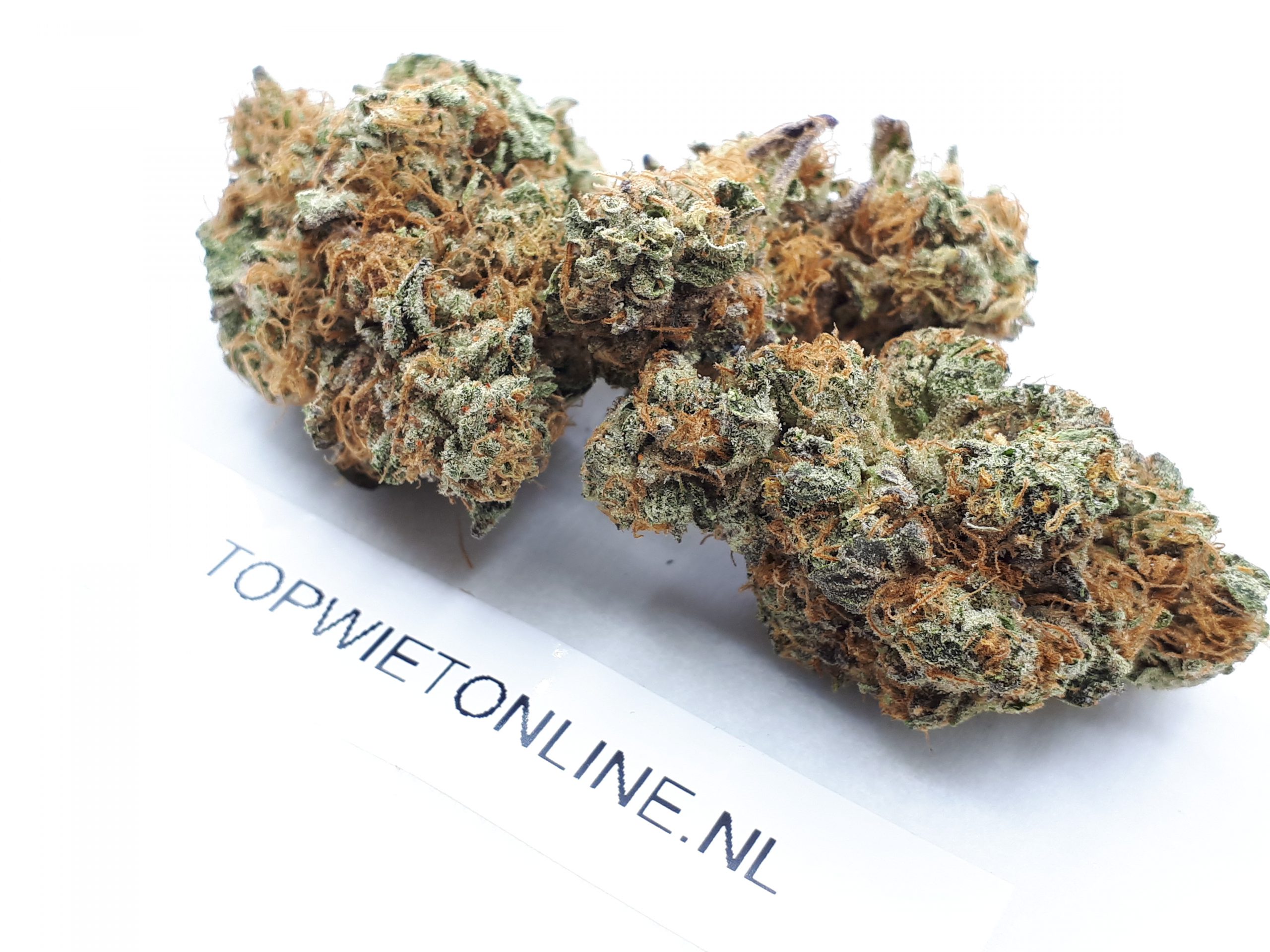 Chocolato - Afbeelding 2