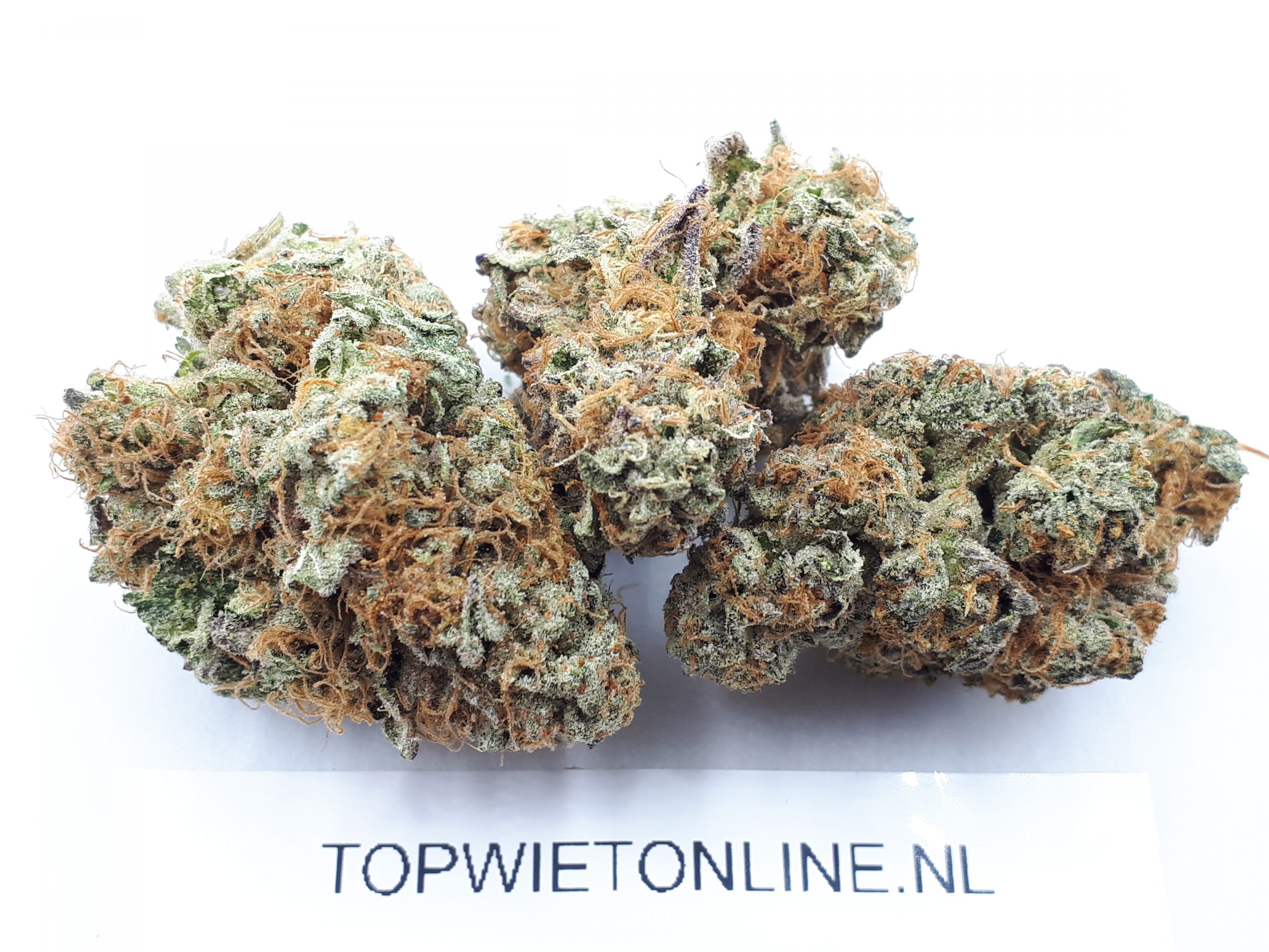 Chocolato - Afbeelding 4