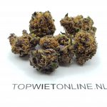Purple Kush - Afbeelding 4