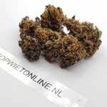 Purple Kush - Afbeelding 2