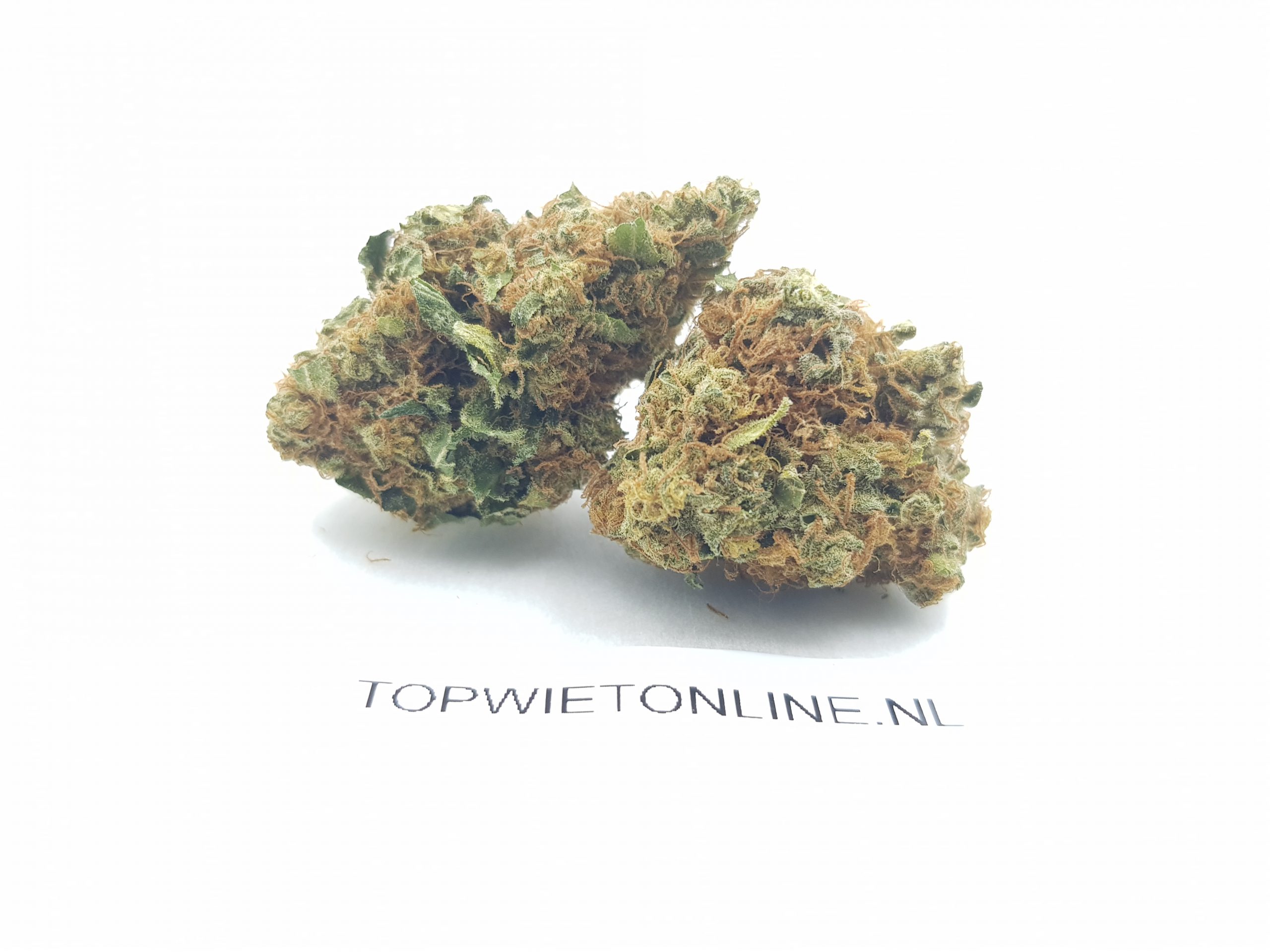 Bubblegum - Afbeelding 2