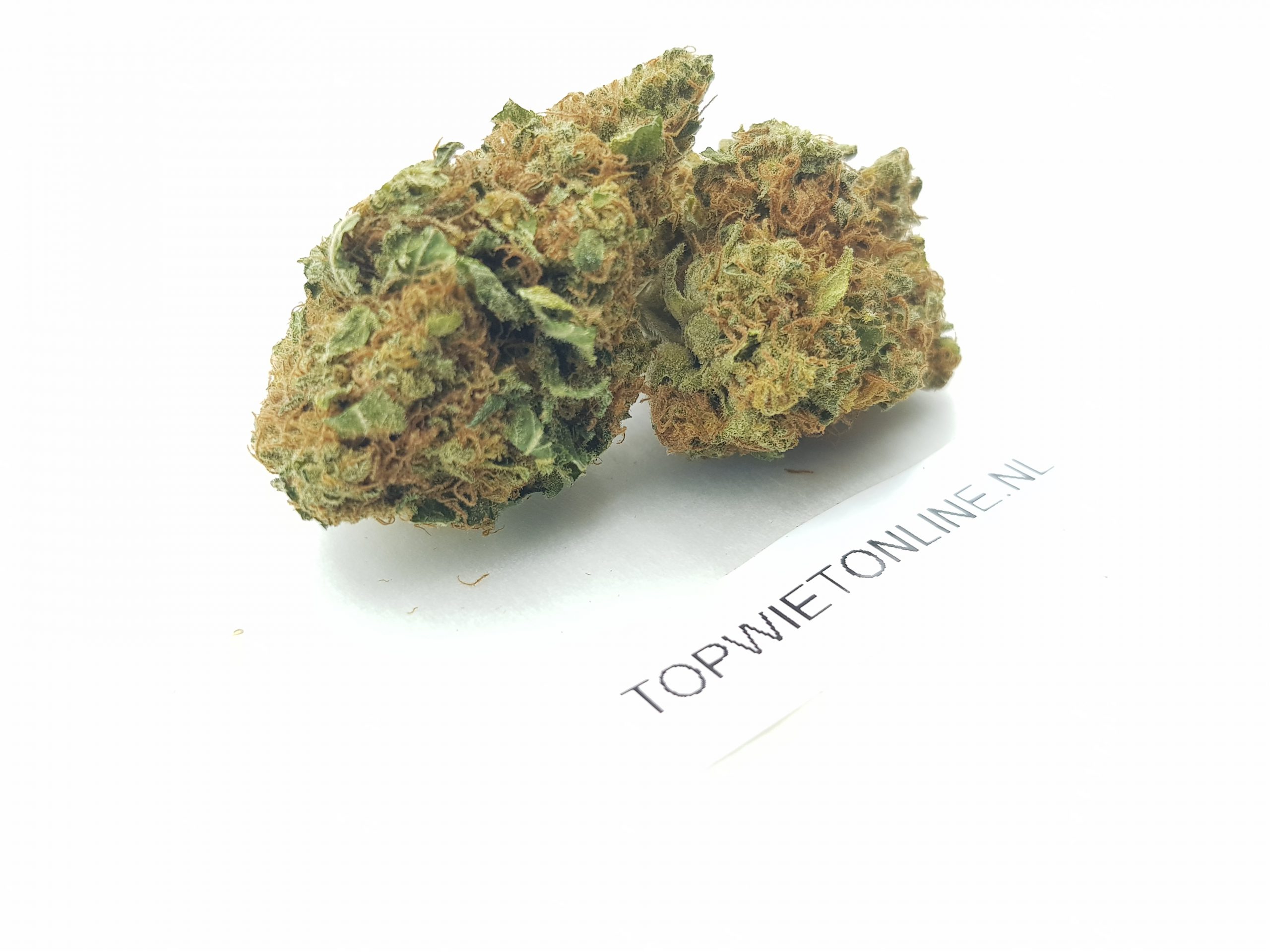 Bubblegum - Afbeelding 4