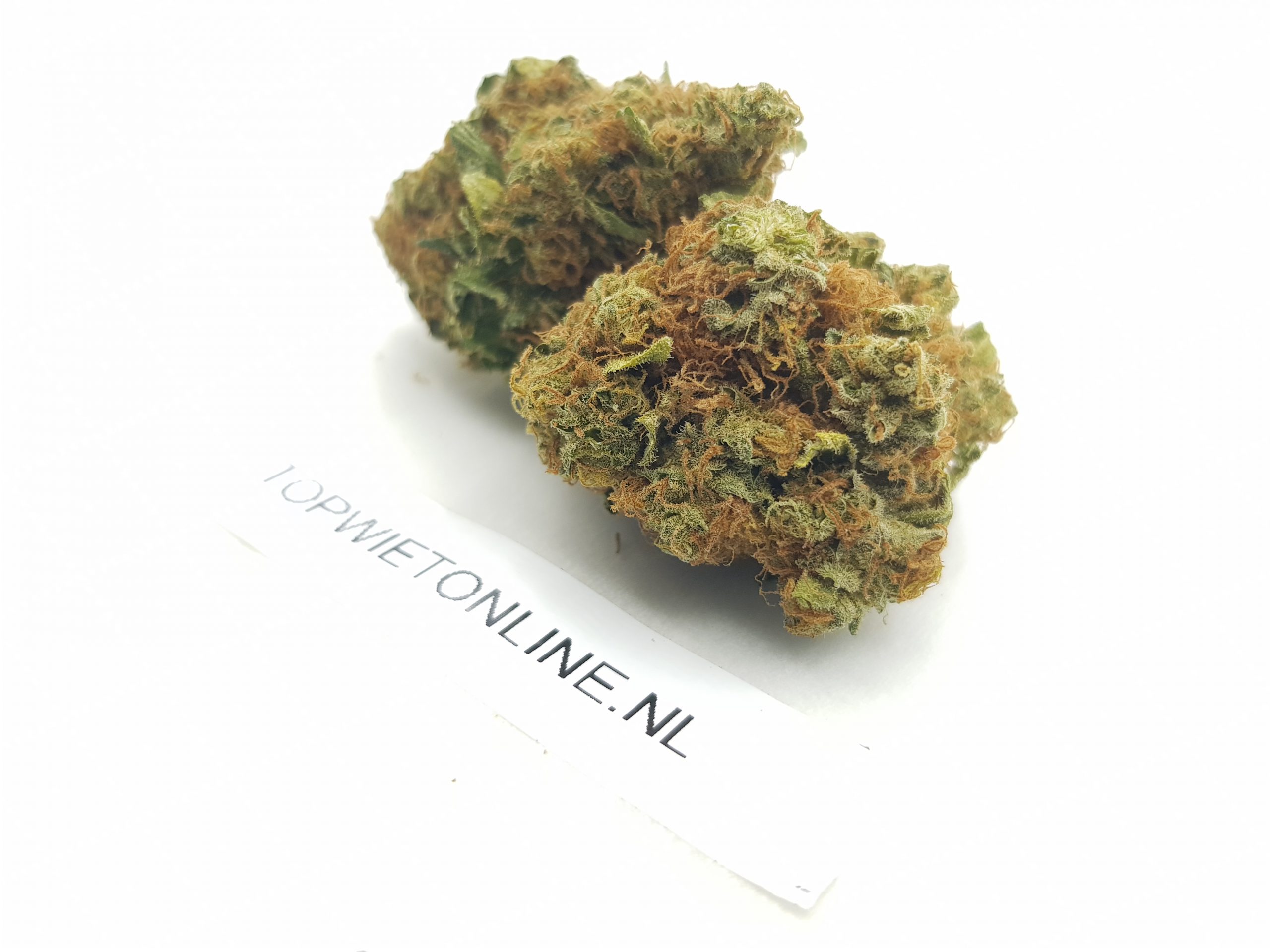 Bubblegum - Afbeelding 3