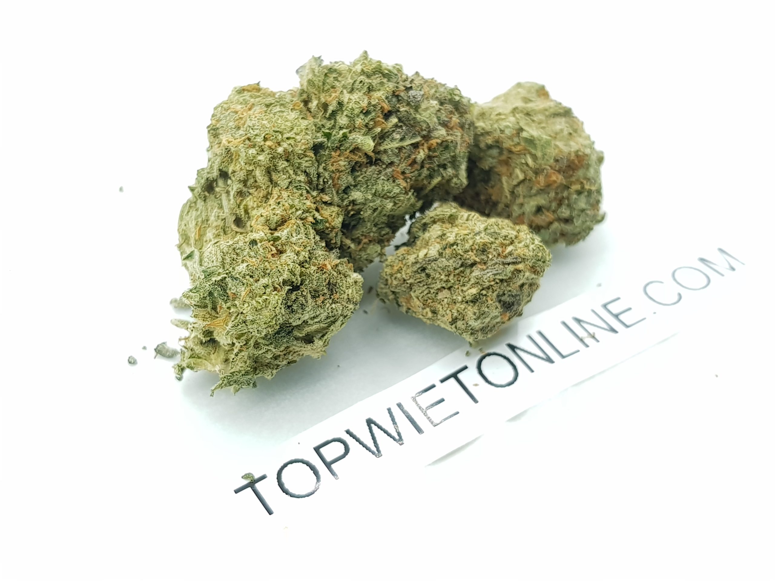 BISCOTTI - Afbeelding 3