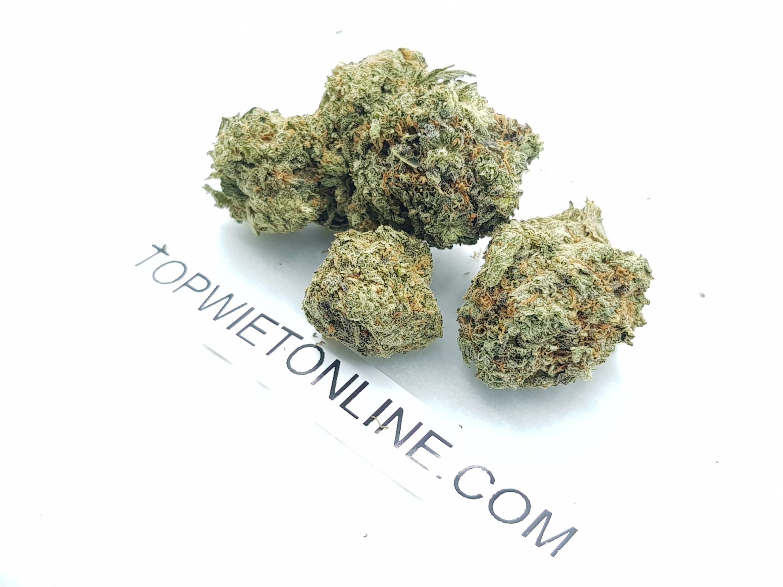 BISCOTTI - Afbeelding 2