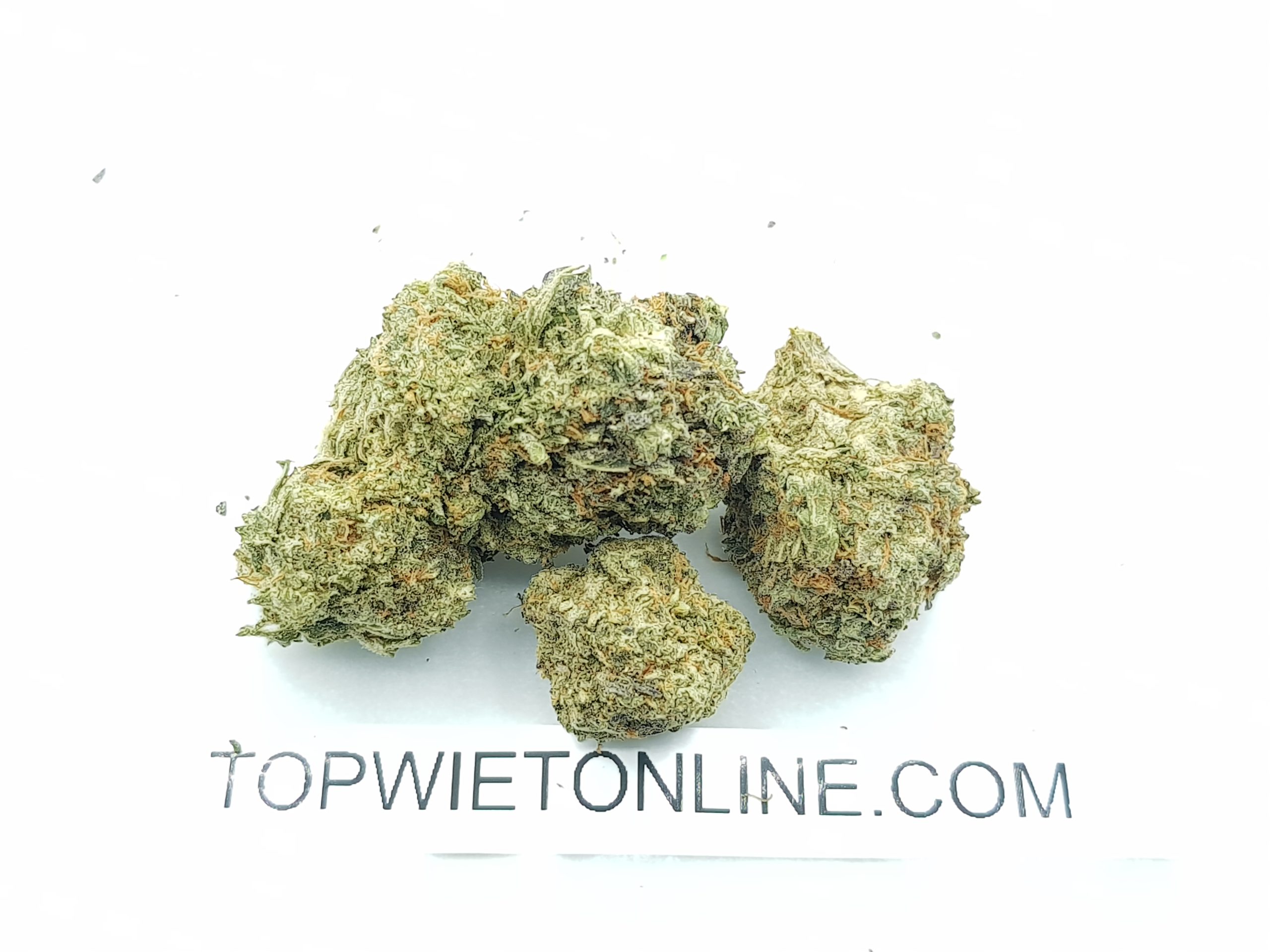 BISCOTTI - Afbeelding 4