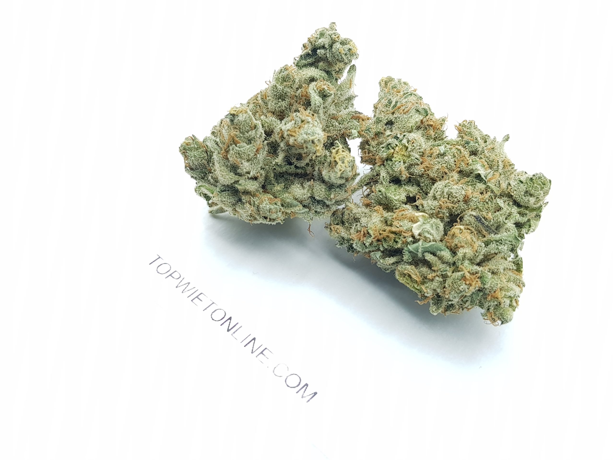 WHITE CHOCO HAZE - Afbeelding 2